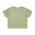 Crop Tee - Pistachio