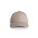 ACCESS CANVAS CAP - Mushroom
