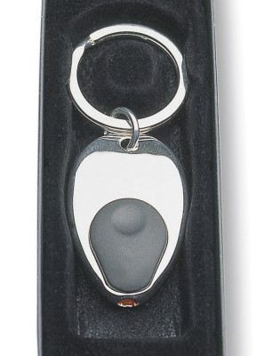 Keyring with Torch