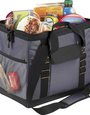 Arctic Zone 24 Can Workmans Pro Cooler