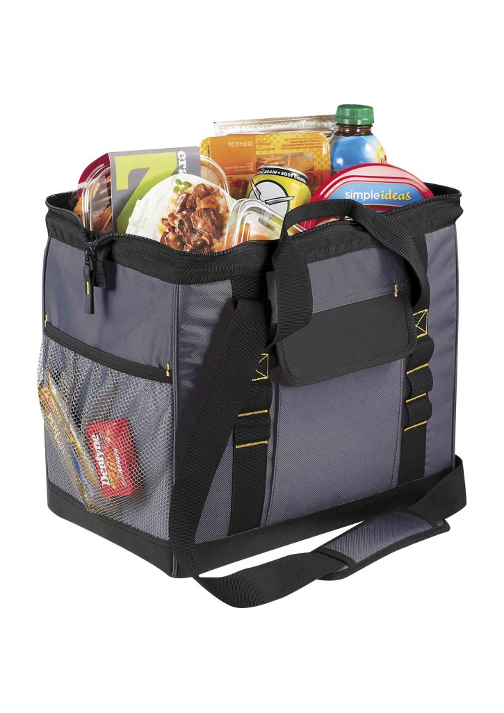 Arctic Zone 24 Can Workmans Pro Cooler