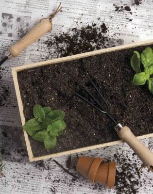 Dig It Garden Box