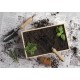 Dig It Garden Box