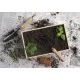 Dig It Garden Box
