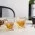 Highland Whisky Glass Set - Glass