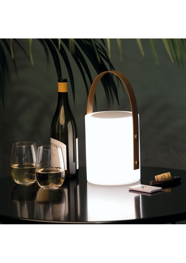 Twilight Speaker Lamp