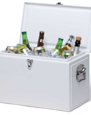 Detroit 20L Cooler Box