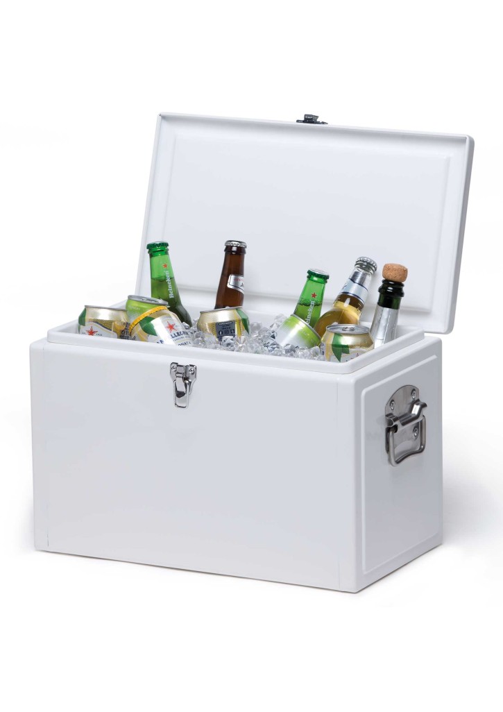 Detroit 20L Cooler Box