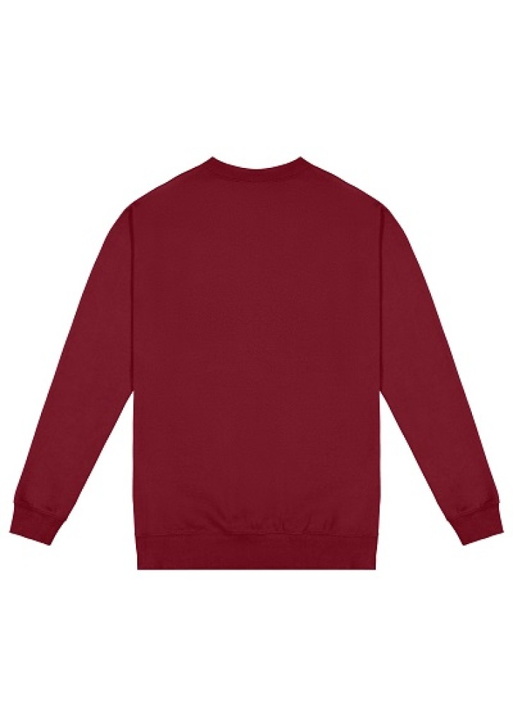Standard Crew Neck Sweat - Kids