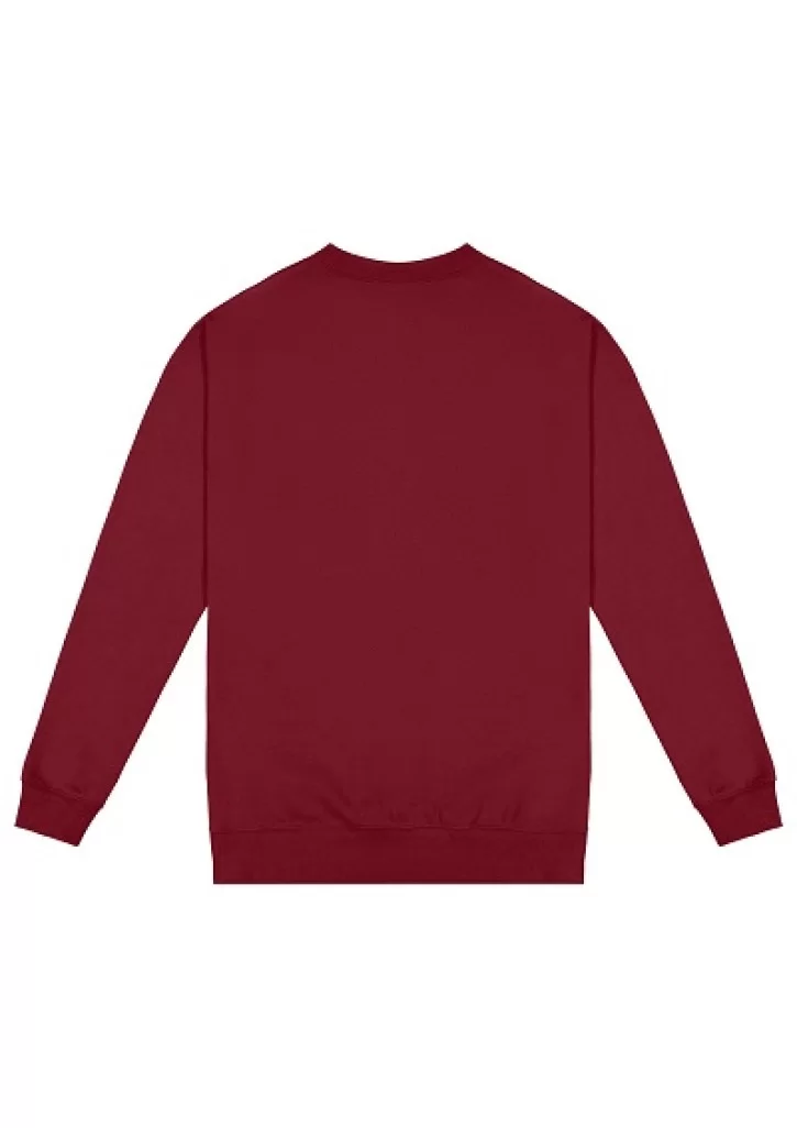 Standard Crew Neck Sweat - Kids