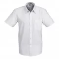 Short Sleeve