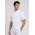 Alfresco Mens Short Sleeve Chef Jacket - White