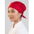 Twist Chef Bandana
