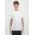 Youth Basis Short Sleeve Tee - Ecru