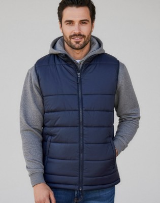 Alpine Mens Vest