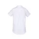 Camden Ladies Short Sleeve Shirt Camden Ladies Short Sleeve Shirt