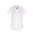Camden Ladies Short Sleeve Shirt - White