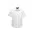 Oasis Mens Short Sleeve Shirt - White