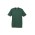 Ice Mens Short Sleeve Tee - Forest