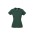 Ice Womens Short Sleeve Tee - Forest