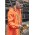 Unisex Super Light Packable Rain Jacket - Orange