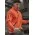 Unisex Streetworx Water Resistant 1/4 Zip Pullover - Orange