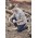 Mens Outdoor Long Sleeve Shirt - Stone