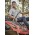 Mens Outdoor Short Sleeve Shirt - Stone