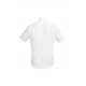 Mens Hudson Short Sleeve Shirt