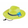 Wide Brims