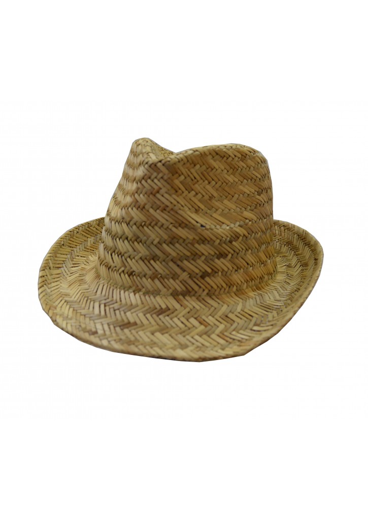 Fedora Straw Hat