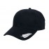 Silver Fern Cap