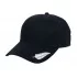 Silver Fern Cap