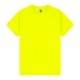 Gildan Heavy Cotton Adult T-Shirt