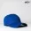 UFlex Adults Pro Style 6 Panel Fitted - Royal