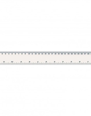 Flip Ruler