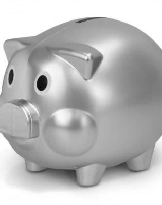 Piggy Bank