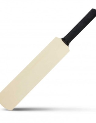 Mini Cricket Bat