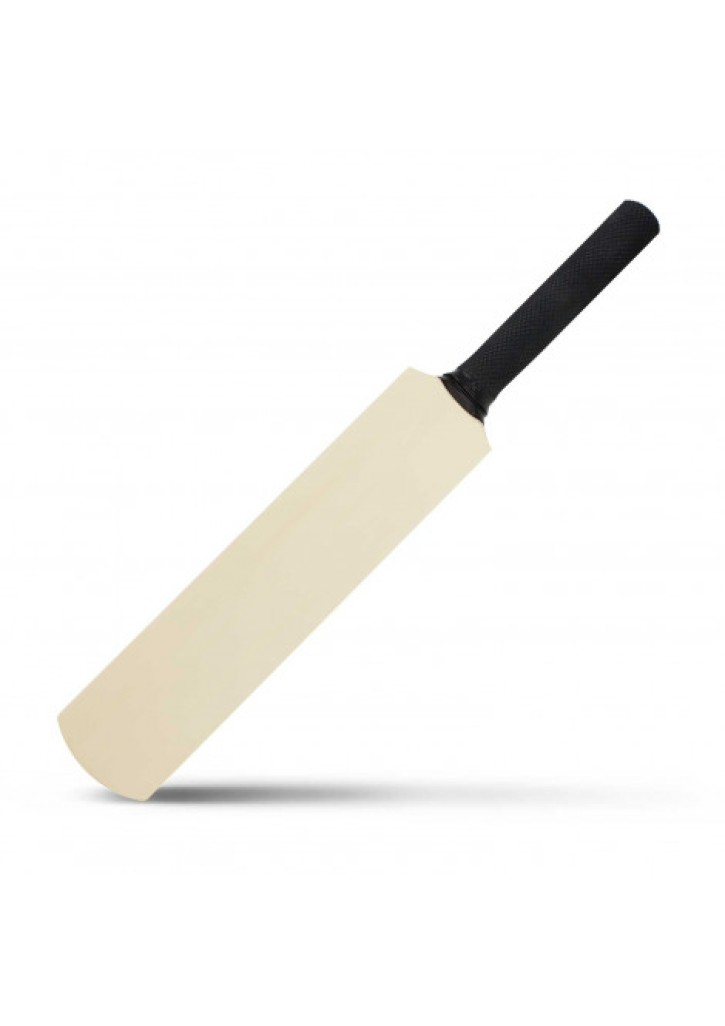 Mini Cricket Bat