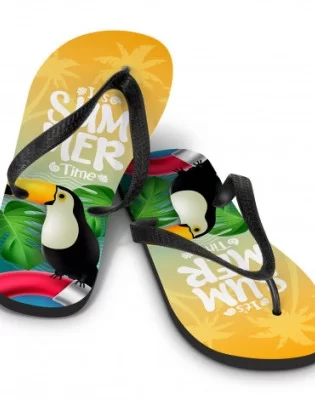 Flip Flops