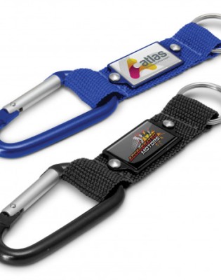 Carabiner Key Ring