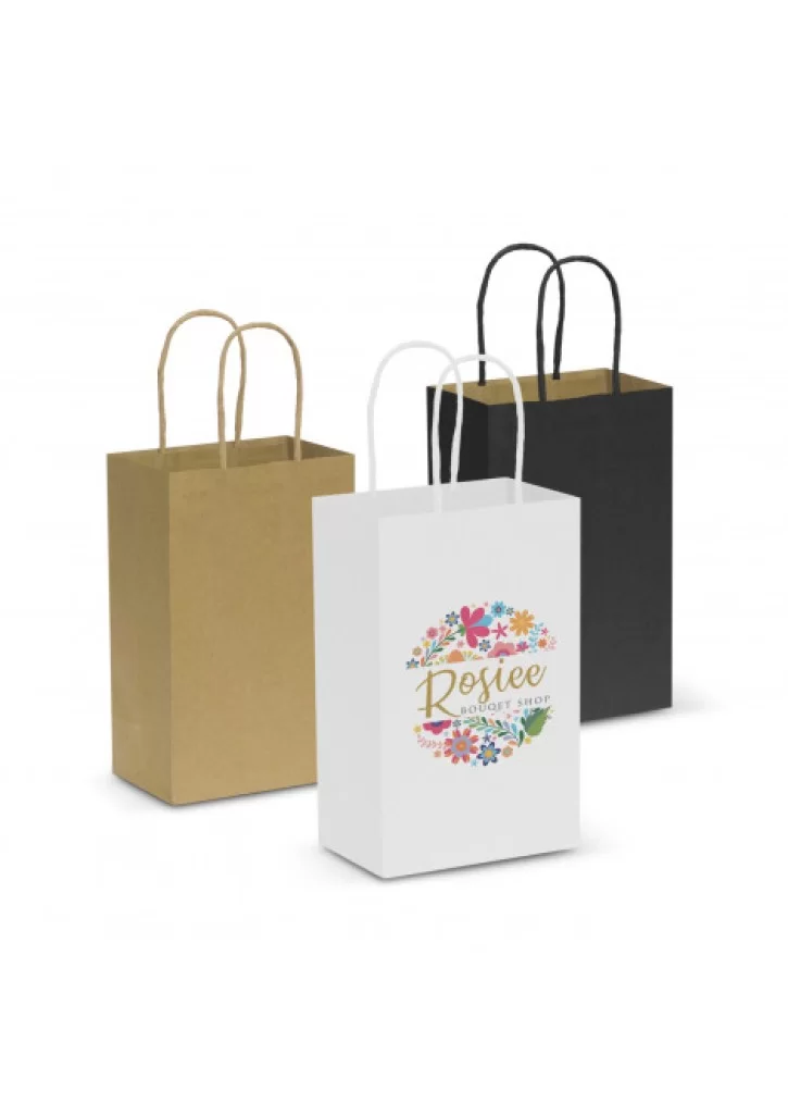 Paper Carry Bag - Small Paper Carry Bag - Small