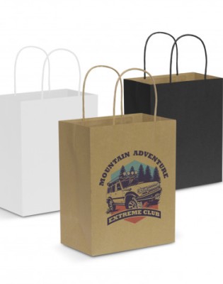 Paper Carry Bag - Medium
