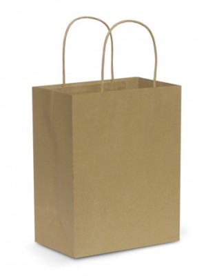 Paper Carry Bag - Medium