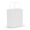 Paper Carry Bag - Medium - White