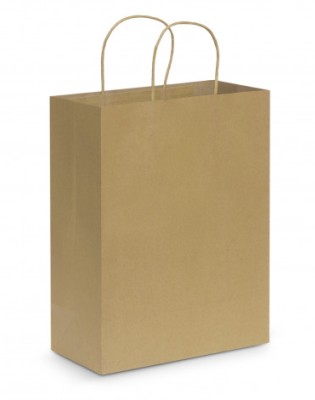 Paper Carry Bag - Large