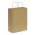 Paper Carry Bag - Large - Natural