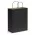 Paper Carry Bag - Large - Black
