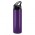 Oasis Bottle - Flip Cap - Purple
