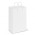 Laminated Carry Bag - Small - White
